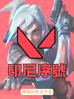 VALORANT 特務幣（印尼）
